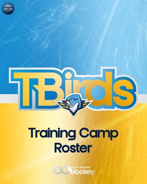 Image post by @thunderbirdsahl on Instagram
