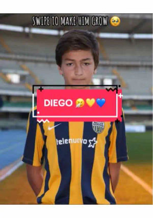 Image post by @hellasveronafc on TikTok