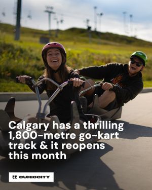 Image post by @curiocitycalgary on Instagram