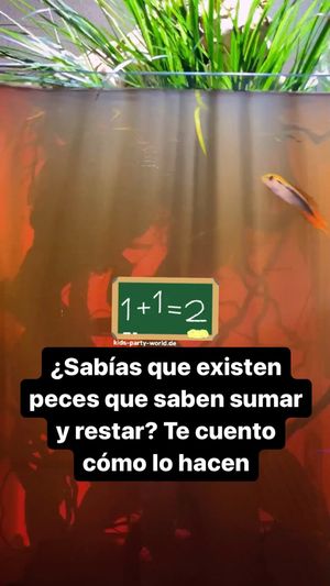 Video post by @aqualupi on Instagram