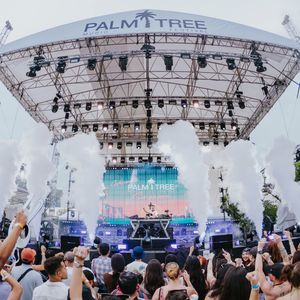 Image post by @palmtreefestival on Instagram