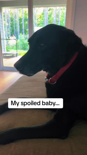 Video post by @arperry01 on TikTok