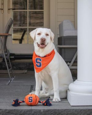 Image post by @accbarstool on Instagram