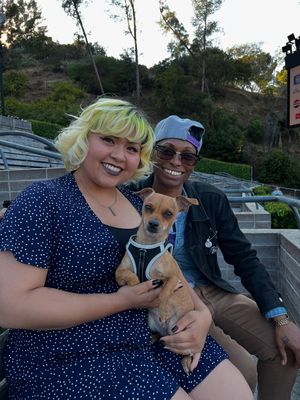 Image post by @hollywoodbowl on Instagram