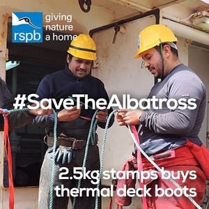 Image post by @rspb on Instagram