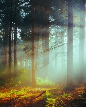 Image post by @fujifilmx_us on Instagram