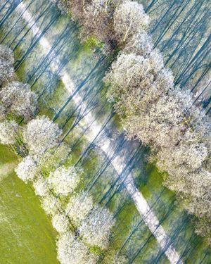 Image post by @droneartgallery on Instagram