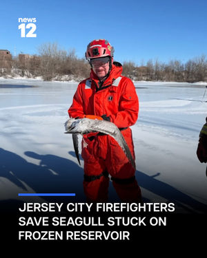 Image post by @news12nj on Instagram