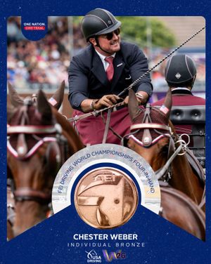 Image post by @usequestrian on Instagram