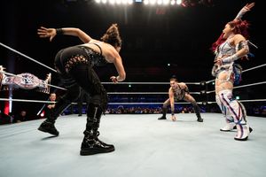 Image post by @wwejapan on Instagram