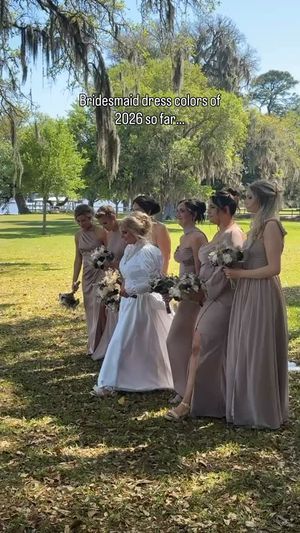 Video post by @Palomino Lens on Facebook