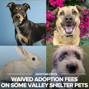 Image post by @abc15arizona on Instagram