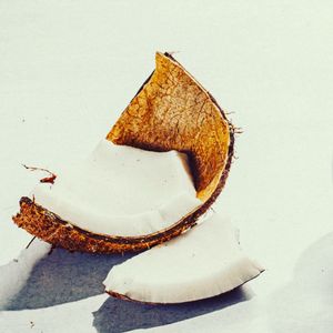 Image post by @eatcoyotas on Instagram