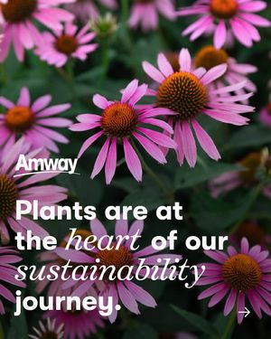 Image post by @amway on Instagram