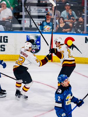 Image post by @chicagowolves on Instagram