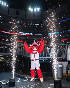 Image post by @bennythebull on Instagram