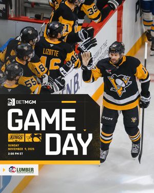 Image post by @penguins on Instagram