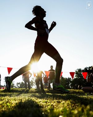 Image post by @indianaxctf on Instagram