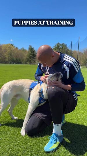 Video post by @nerevolution on Facebook