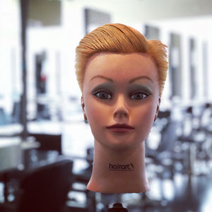 Image post by @shawn_briegel on Instagram