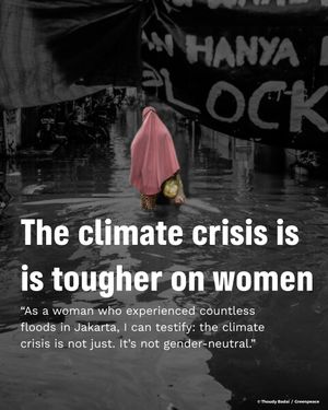 Image post by @greenpeace on Instagram