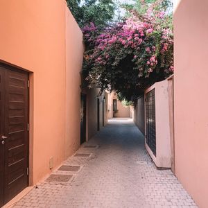 Image post by @aureliehemar on Instagram