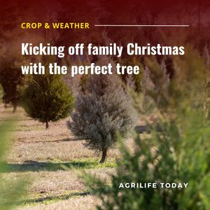 Image post by @txextension on Instagram