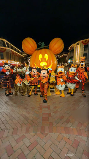 Video post by @disneyparks on TikTok