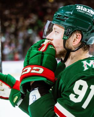 Image post by @minnesotawild on Instagram