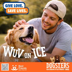 Image post by @dogstersicecream on Instagram
