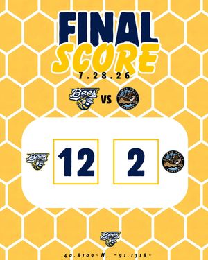 Image post by @burlington_bees on Instagram