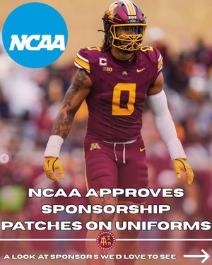 Image post by @barstoolgophers on Instagram