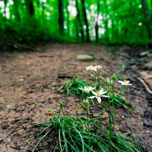 Image post by @_matthewcletus on Instagram