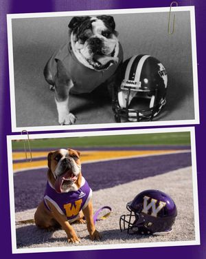 Image post by @westerniluniv on Instagram