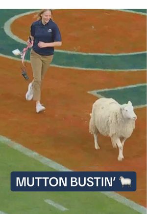 Video post by @broncos on TikTok