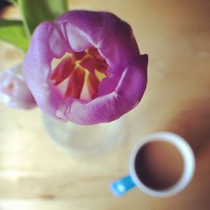 Image post by @kirstenalana on Instagram