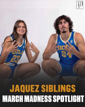 Image post by @wslam on Instagram