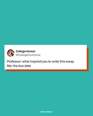 Image post by @hercampus on Instagram