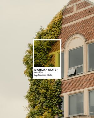 Image post by @michiganstateu on Instagram