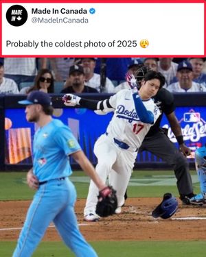 Video post by @whistle on TikTok