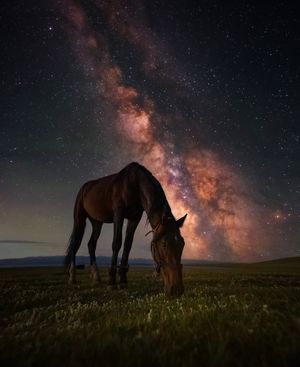 Image post by @sadeqhayati on Instagram