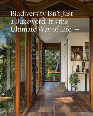 Image post by @jamesonsir on Instagram