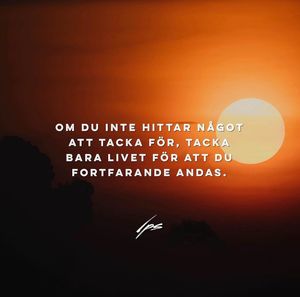 Image post by @petersvardsmyr on Instagram