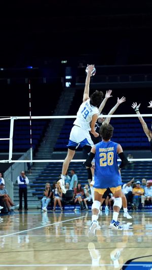 Video post by @hykchora on TikTok