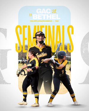 Image post by @gustiesoftball on Instagram
