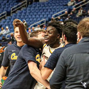 Image post by @gogriffs on Instagram