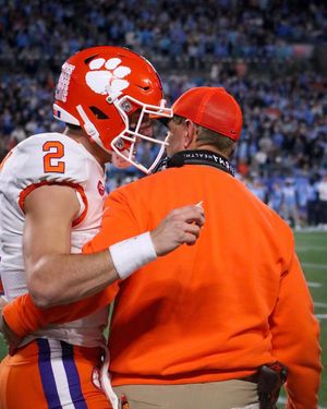 Image post by @cutigervision on Instagram