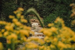 Image post by @visitpikespeak on Instagram