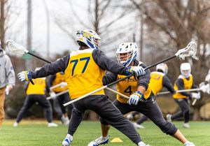 Image post by @hofstramlax on Instagram