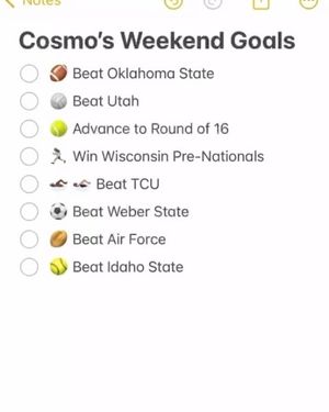 Image post by @dailyunivsports on Instagram